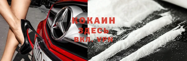 ПСИЛОЦИБИНОВЫЕ ГРИБЫ Баксан