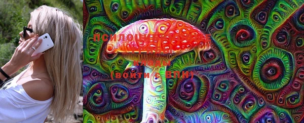 ПСИЛОЦИБИНОВЫЕ ГРИБЫ Баксан