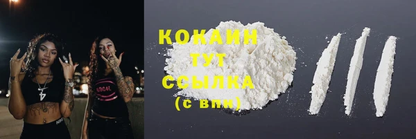 ПСИЛОЦИБИНОВЫЕ ГРИБЫ Баксан