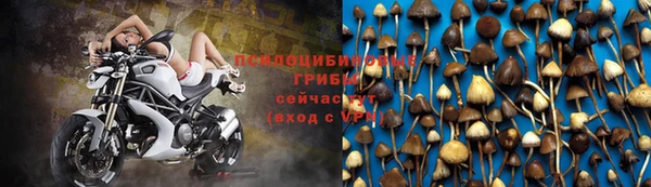 ПСИЛОЦИБИНОВЫЕ ГРИБЫ Баксан